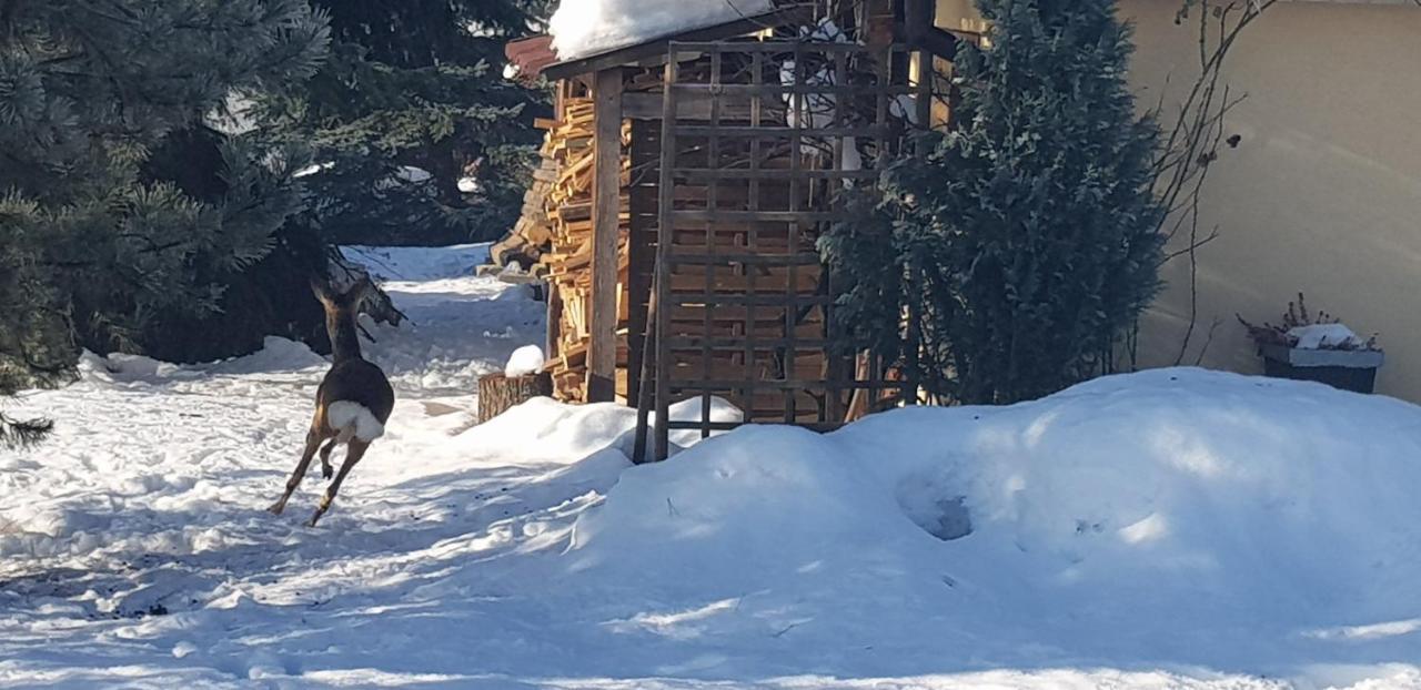 Dom Grabowa Z Sauna I Podgrzewanym Basenem Gilowice  Exterior photo